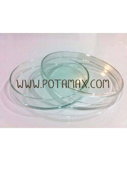 จานแก้วเพาะเชื้อ