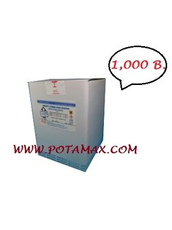 wright's giemsa stain set