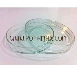 จานแก้วเพาะเชื้อ