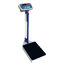 เครื่องชั่งน้ำหนักระบบดิจิตอล ยี่ห้อ ZEPPER รุ่น TCS-250A-RT