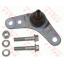 ลูกหมากล่าง ตัวนอก (ซ้าย) BMW Mini cooper (R50) (TRW)