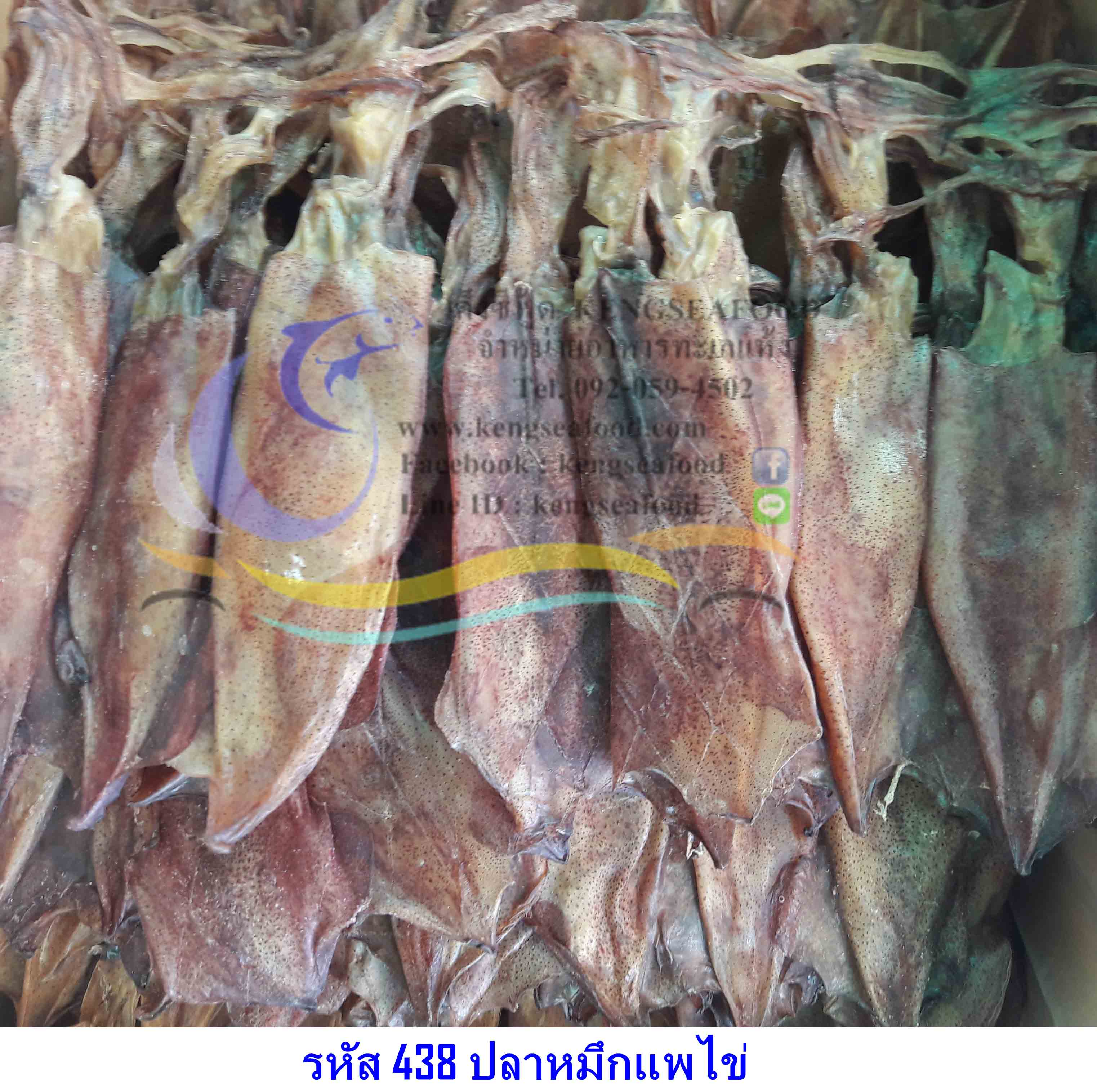ปลาหมึกแพไข่