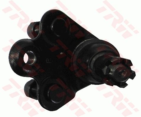 ลูกหมากปีกนกล่าง (ขวา) Honda Civic FD ปี 2006 - 2012 (TRW)