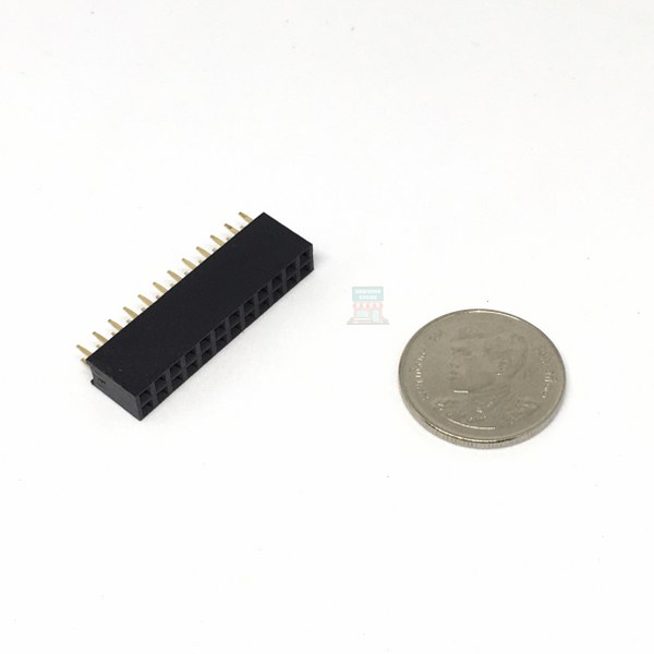 2.54mm 2x12 F Pin 5pcs