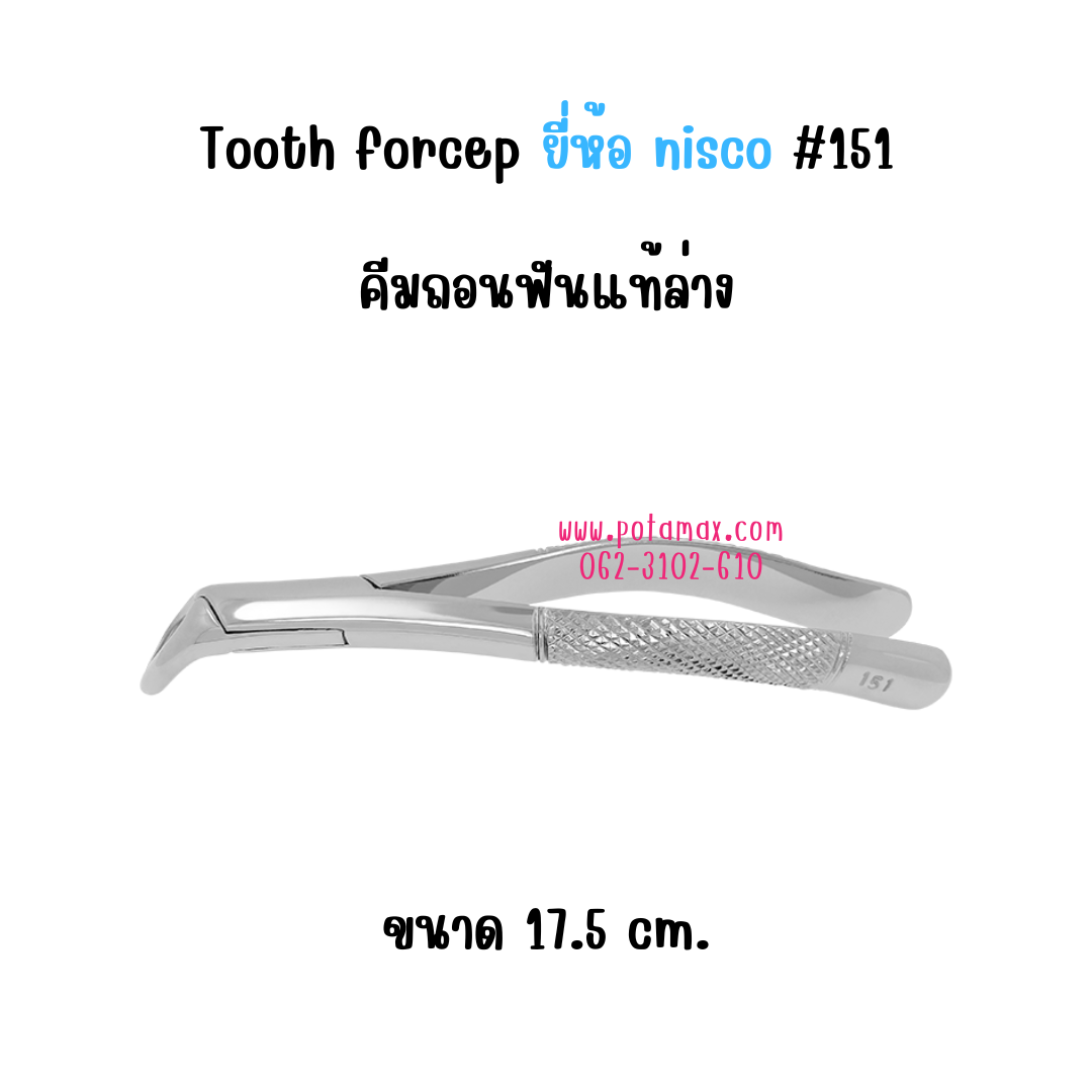 Tooth forcep คีมถอนฟันแท้ล่าง #151 ขนาด 17.5 cm. ยี่ห้อ NISCO ขนาด 17.5 cm.