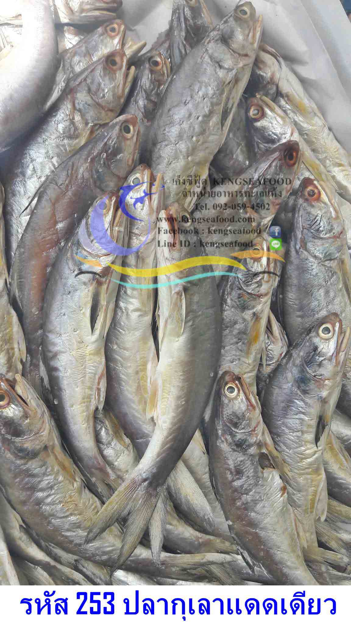 ปลากุเลาแดดเดียว ไซส์เล็ก