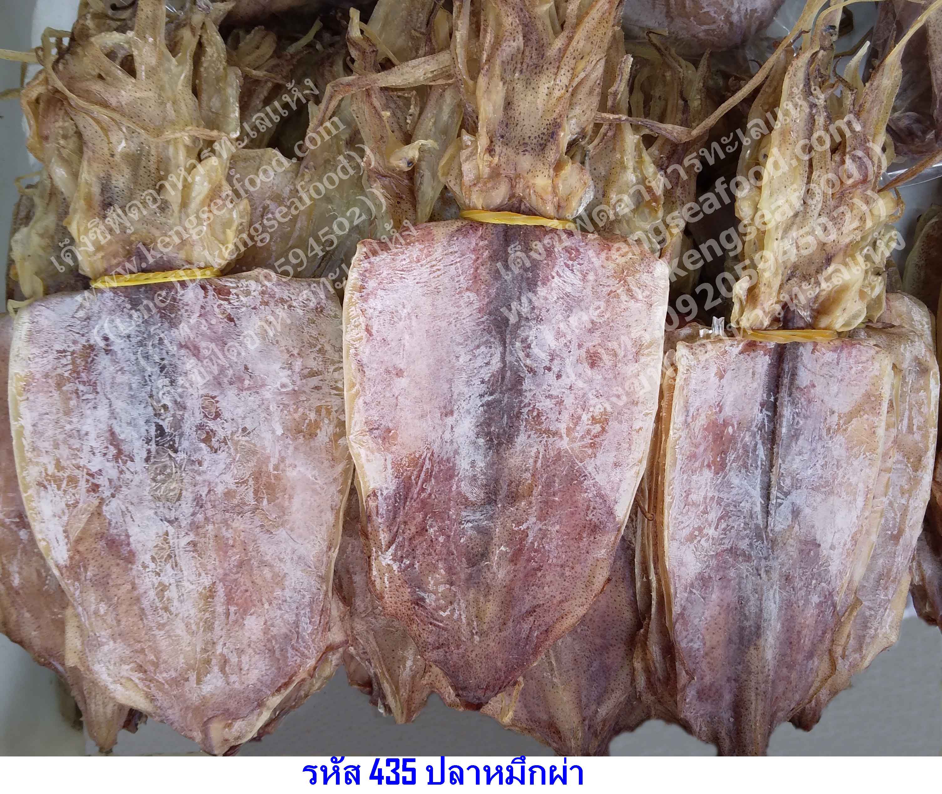 หมึกผ่า 5 นิ้ว