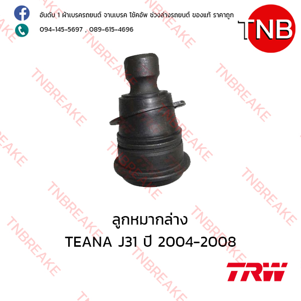 TRW ลูกหมากล่าง Nissan TEANA J31 ปี 2004-2008