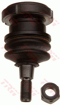 ลูกหมากล่าง หน้า Benz (W163) (TRW)