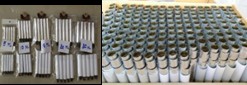 cocktail tube mix size (ราคาลัง)