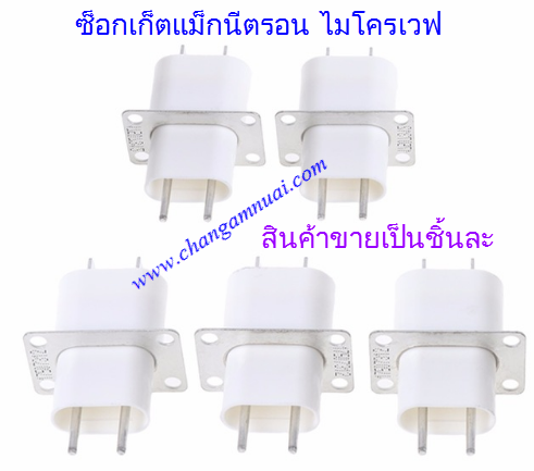 ซ็อกเก็ตแม็กนีตรอนไมโครเวฟ