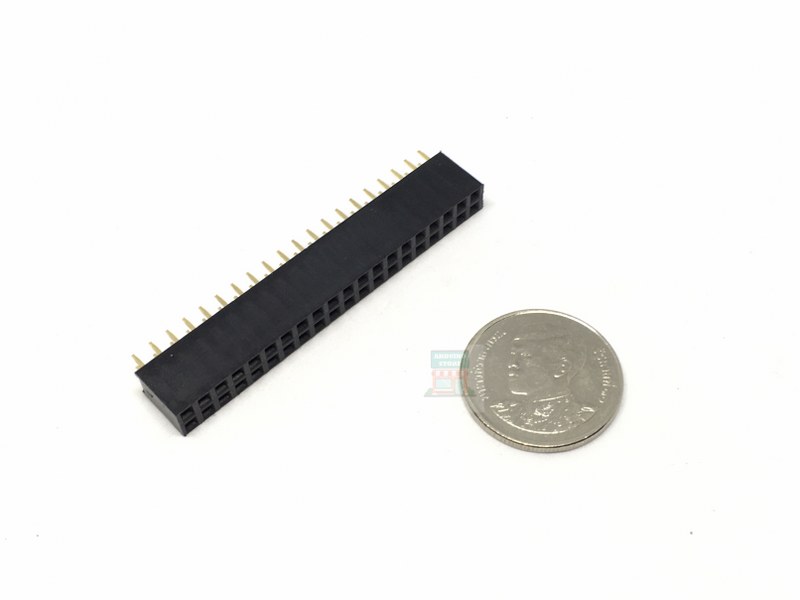 2.54mm 2x20 F Pin 2Pcs