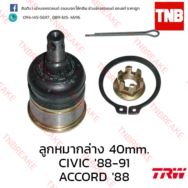 TRW ลูกหมากล่าง 40mm. Honda Civic EF 1988-1991