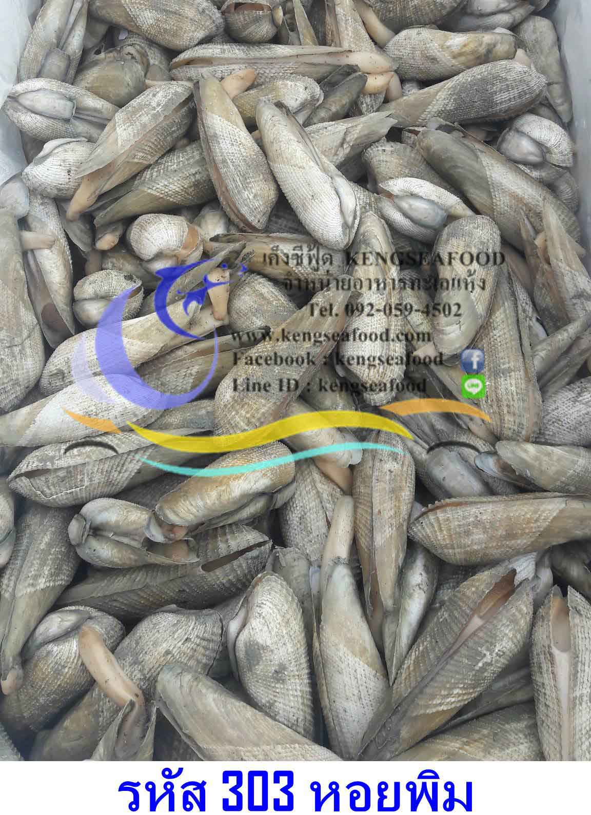 หอยพิมแดดเดียว