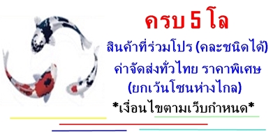 อาหารทะเลแห้ง โปรโมชั่น พิเศษ