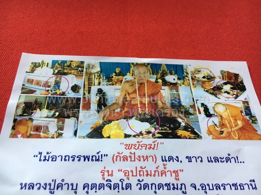 พยัคฆ์ ตบะ เดชะ บารมี (เนื้อไม้อาถรรพณ์ กัลปังหาดำ) หลวงปู่คำบุ "รุ่นอุปถัมภ์ค้ำชู" ปี 56 (รุ่นสุดท้าย)