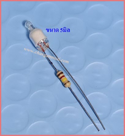 หลอดนีออน หม้อหุงข้าว เตารีด กระติก น้ำร้อน เตาอบ 220V 5mm พร้อม R แสงเขียว