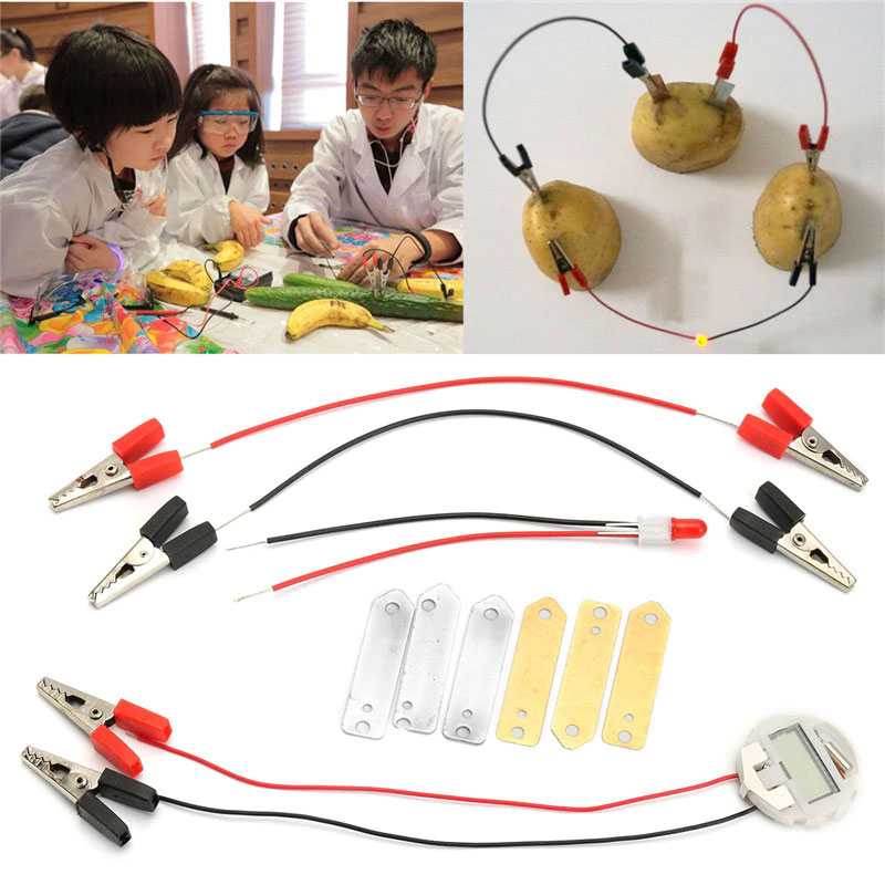 ชุดทดลอง แบตเตอรี่จากผลไม้ Bio Energy