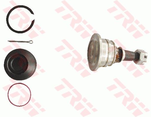 ลูกหมากปีกนกบน Vigo 4x2 ปี 04-08 (TRW)