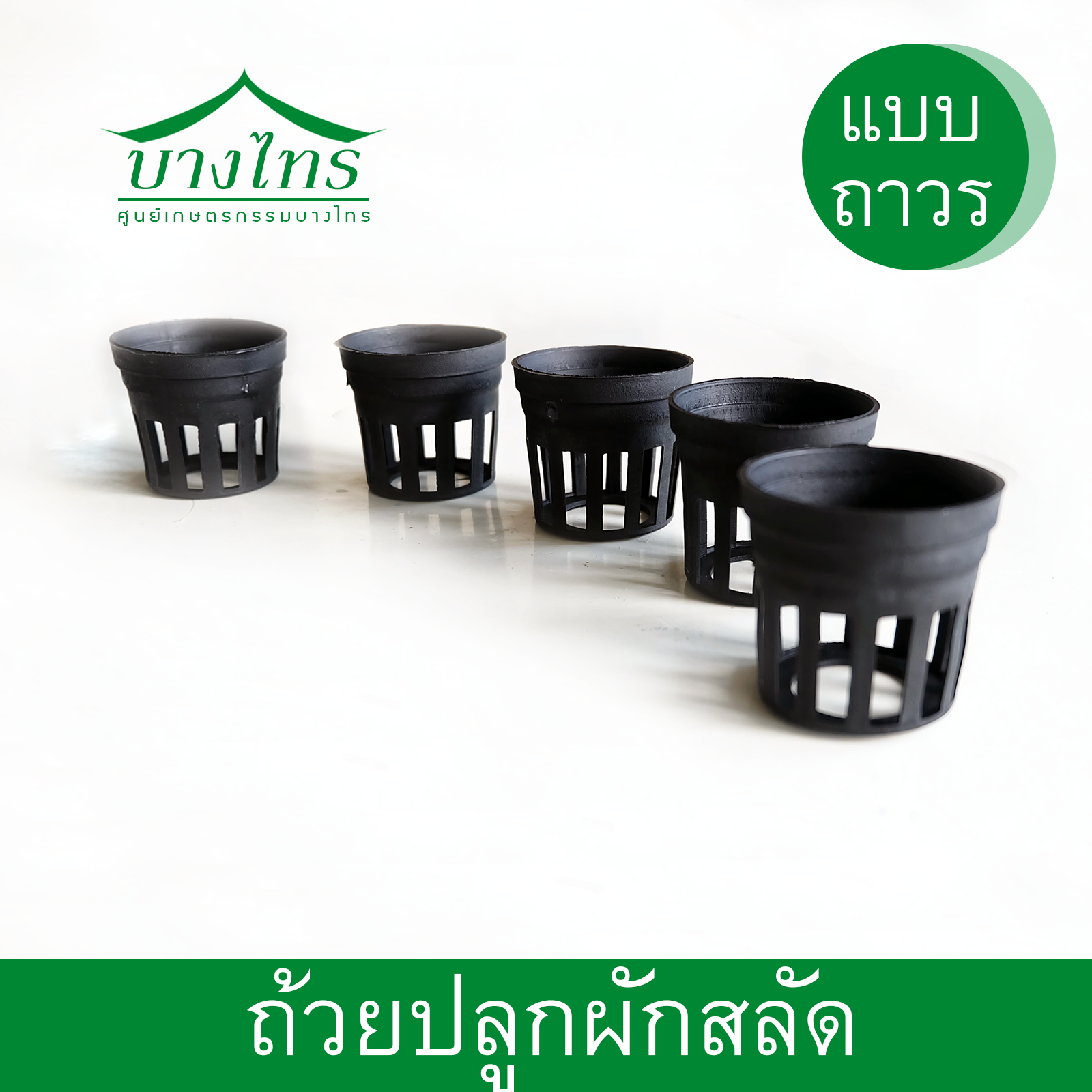 ถ้วยพลาสติกสีดำสำหรับปลูกสลัด (แบบถาวร)
