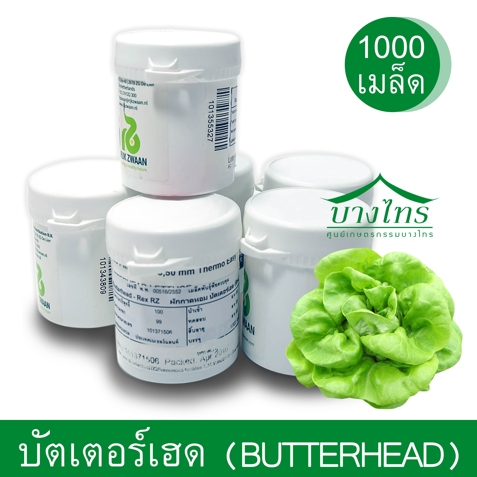 เมล็ดพันธุ์บัตเตอร์เฮด / Butterhead ชนิดเคลือบ อัตราการงอก 99%