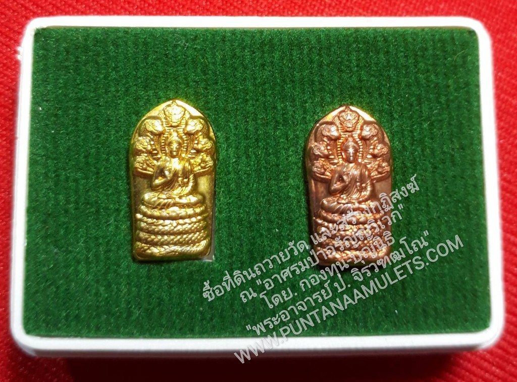 * "พระปรกใบมะขาม รุ่น "ประทานพร"..."เนื้อทองฝาบาตร และเนื้อทองแดง"(1 ชุด มี 2 องค์)...ตอกโค๊ต กำกับ...เมตตาอุปถัมภ์อธิษฐานจิตปรกปลุกเสก โดย. "๒ พลังบารมี" หลวงปู่เกตุ วัดทับเจริญ จ.ชลบุรี และหลวงปู่ฮก วัดราษฎร์เรืองสุข(ม