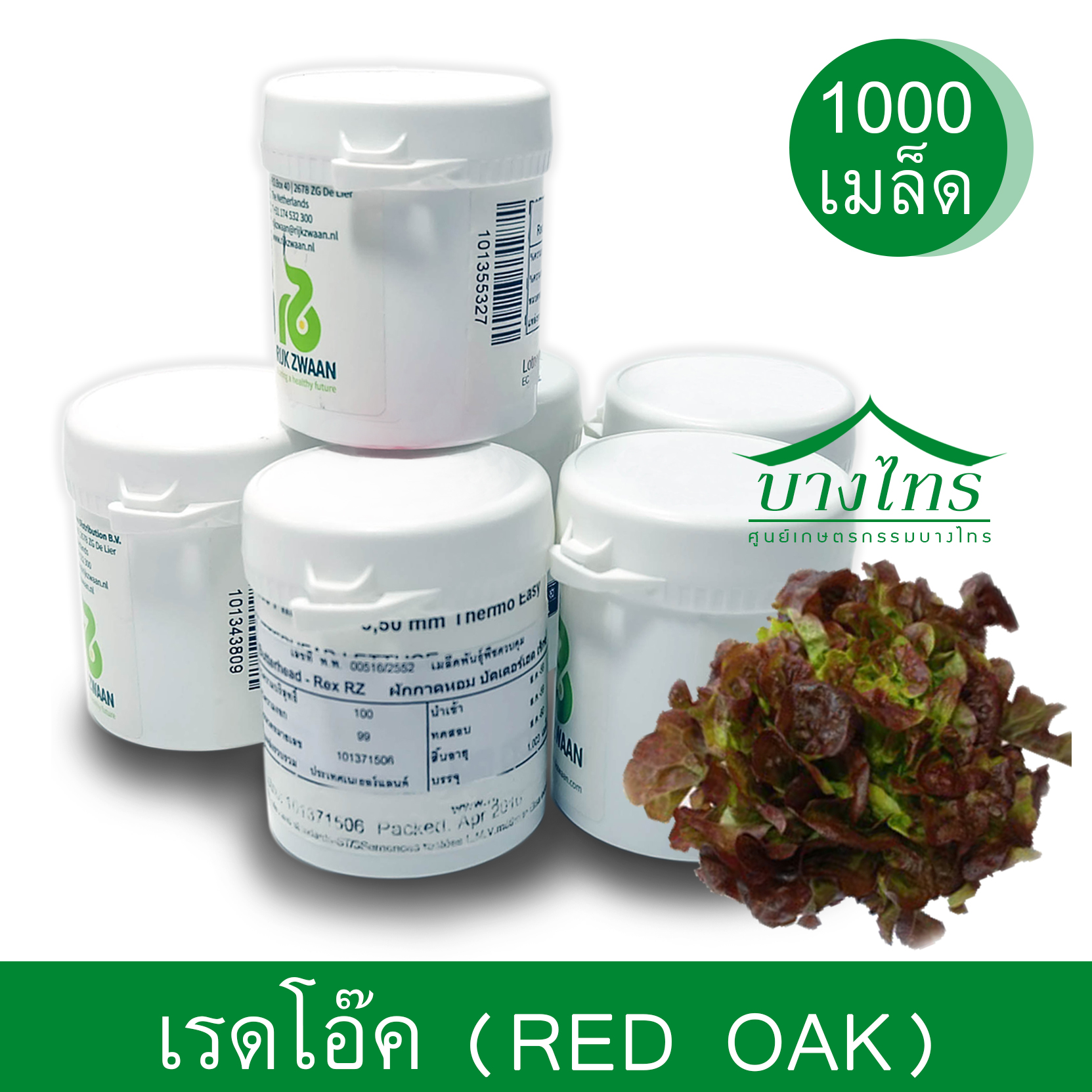 เมล็ดพันธุ์เรดโอ๊ค / Red Oak ชนิดเคลือบ อัตราการงอก 99%