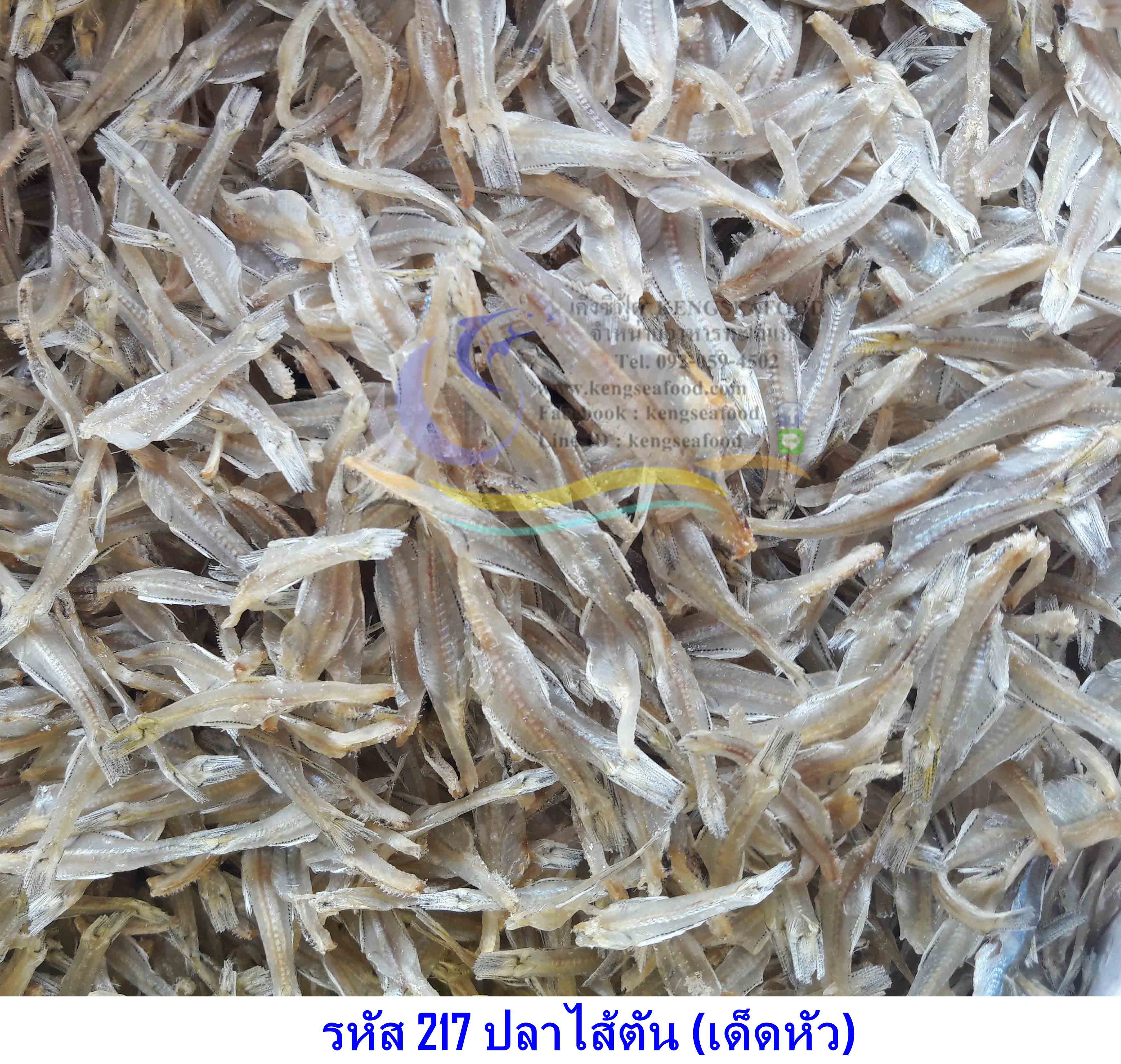ปลาไส้ตัน ปลาฝอยฉีกท้อง