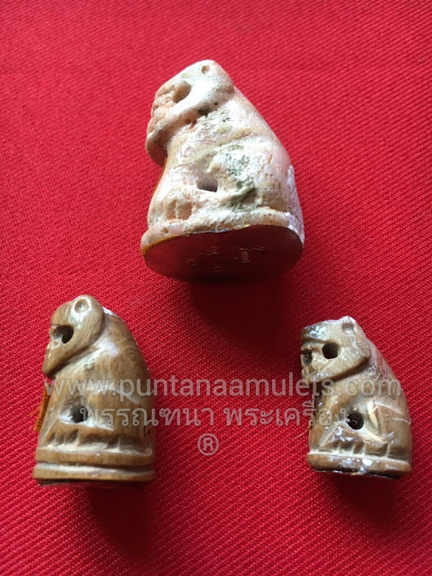 พยัคฆ์ ตบะ เดชะ บารมี (เนื้อไม้อาถรรพณ์ กัลปังหาขาว) หลวงปู่คำบุ "รุ่นอุปถัมภ์ค้ำชู" ปี 56 (รุ่นสุดท้าย)