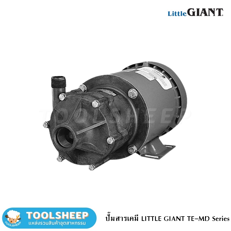 ปั๊มน้ำยาเคมี ปั๊มสารเคมี LITTLE GIANT รุ่น TE-MD Series