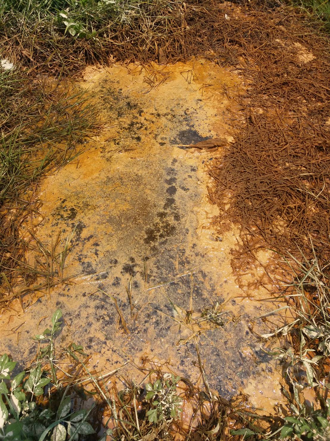 ผงดูดซับน้ำมันและสารเคมี แบบถุง 20 กก.