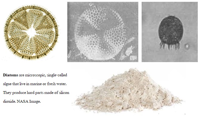 ผงดูดซับน้ำมันและสารเคมี แบบถุง 20 กก.