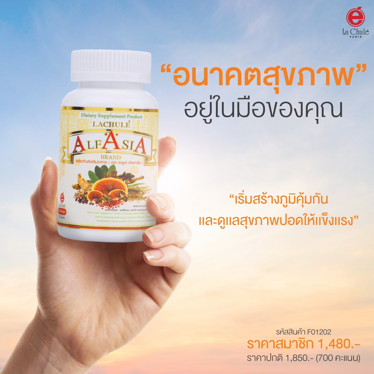 Lachule ผลิตภัณฑ์เสริมอาหาร อัลฟาเซีย เอ็นไซม์