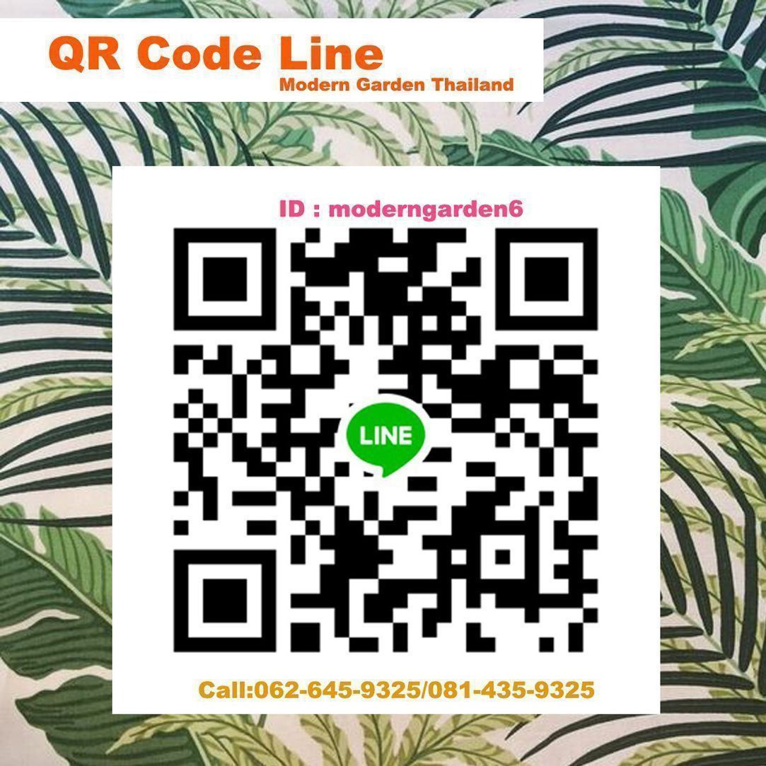 ต้นอากาเว่ปากนกแก้ว ต้นสูงประมาณ20 cm กว้าง20cmครับ