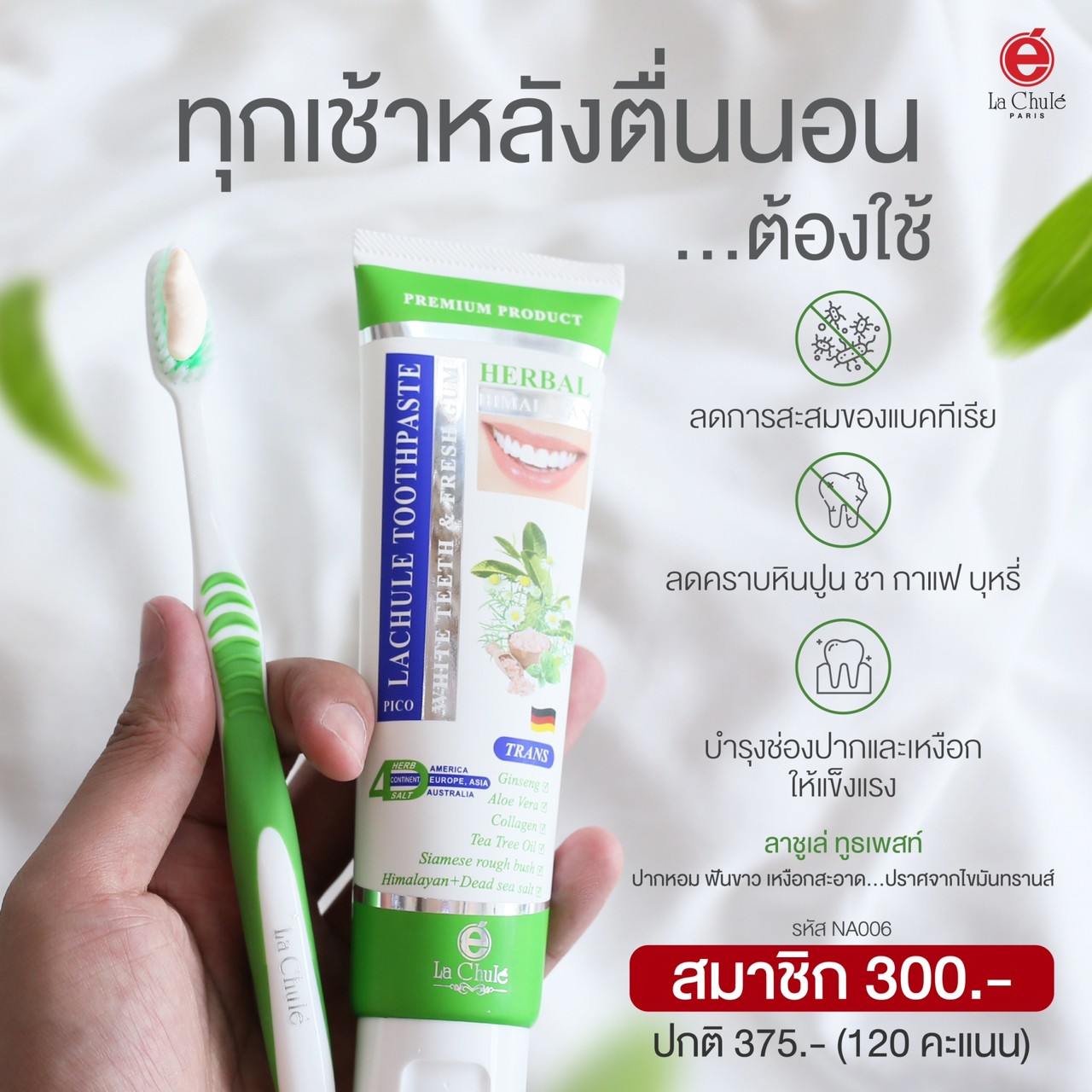 PICO LACHULE TOOTHPASTE พิโก ลาชูเล่ ทูสเพลส (ยาสีฟันสมุนไพรดับกลิ่นปาก) สำเนา