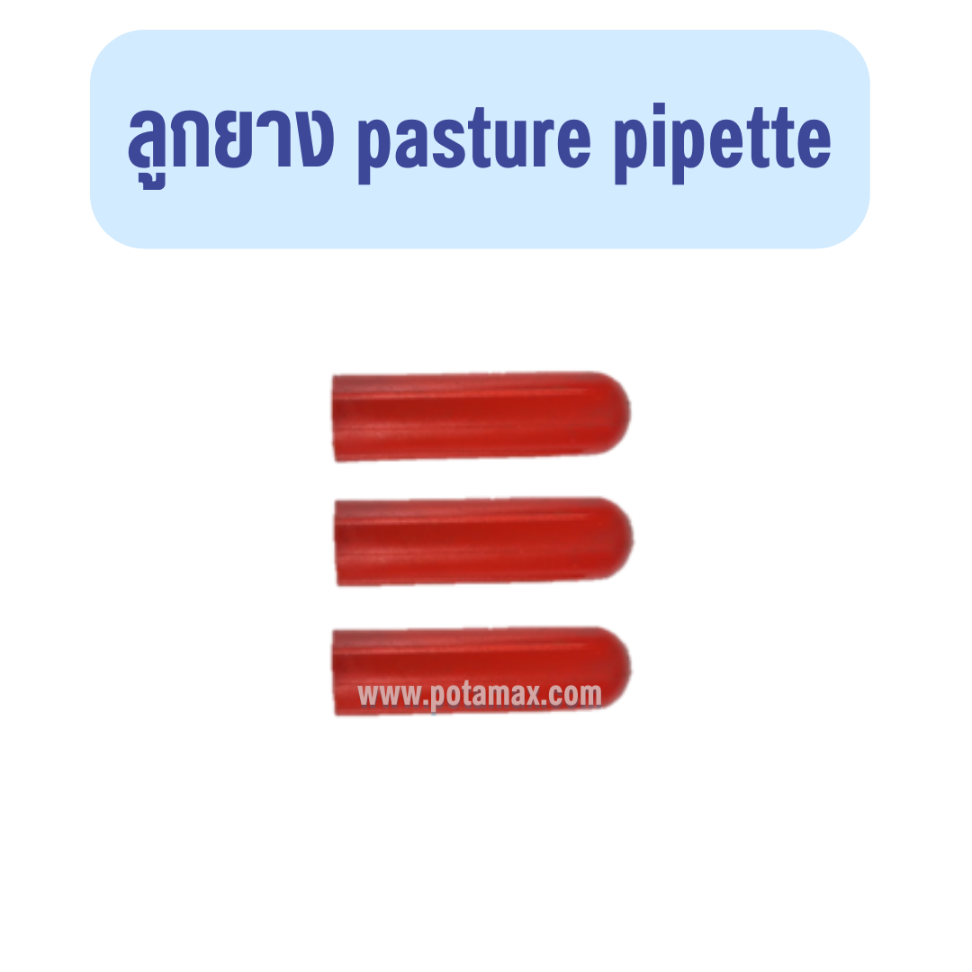 ลูกยาง pasture pipette