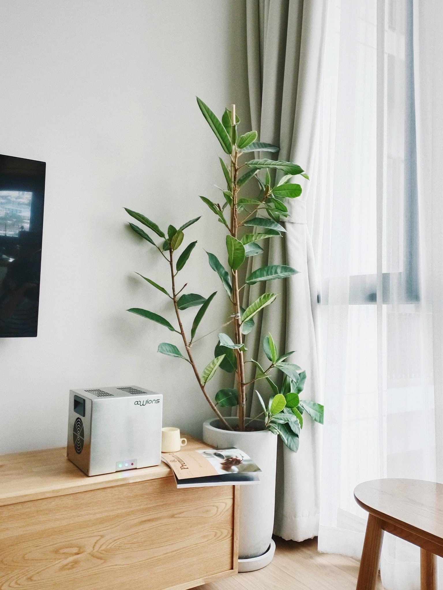 เครื่องฆ่าเชื้อไวรัส และปรับคุณภาพอากาศ