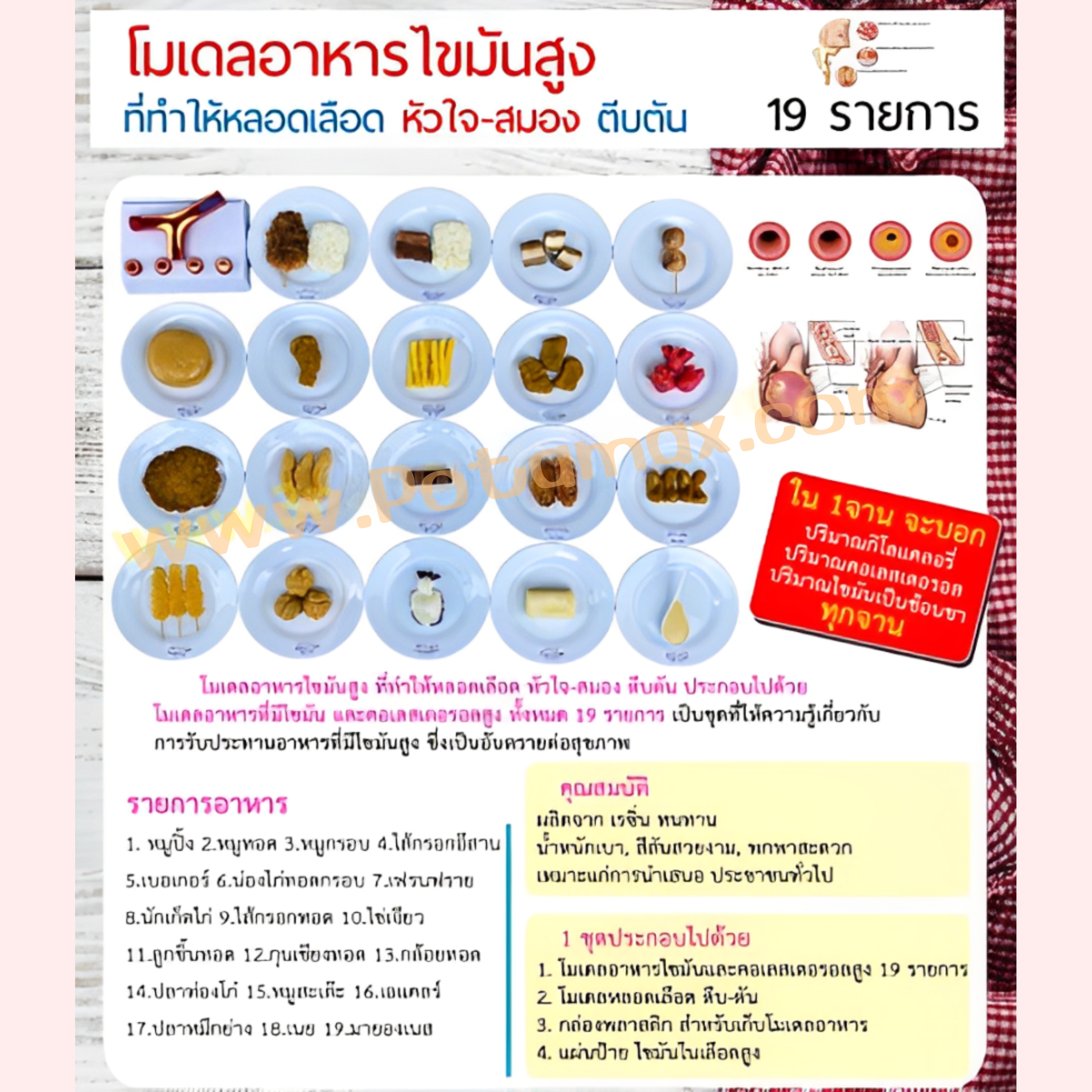 โมเดลอาหารไขมันสูง 19 รายการ