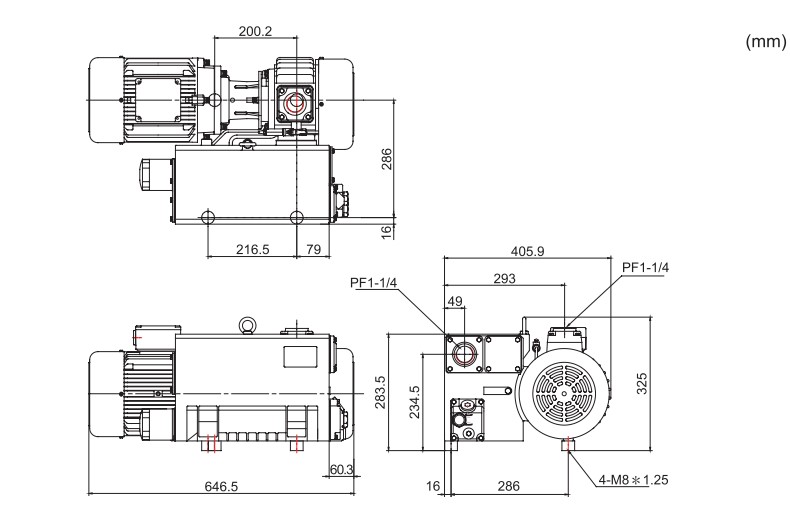 ปั๊มโรตารี่ HO-HSING รุ่น CP30 Series