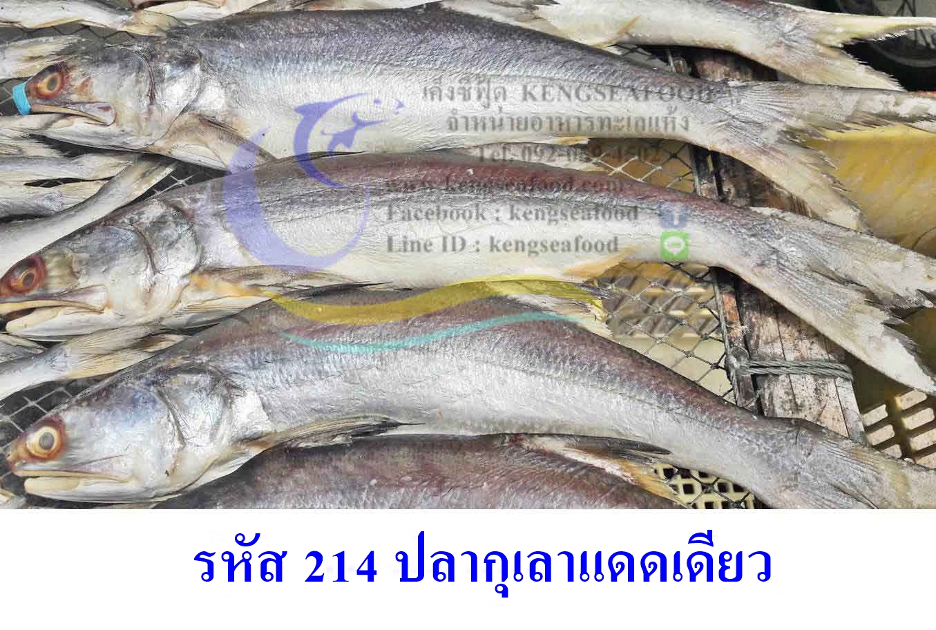 ปลากุเลาแดดเดียว ไซส์กลาง
