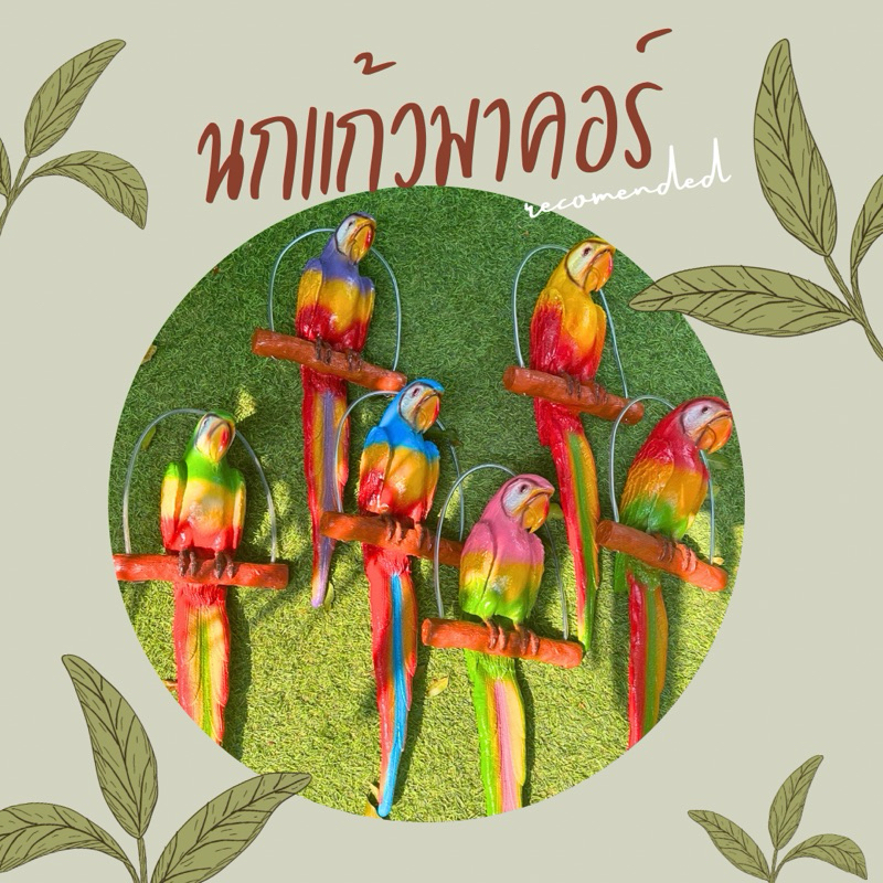 นกแก้วมาร์คอร์แต่งสวนสวยๆ