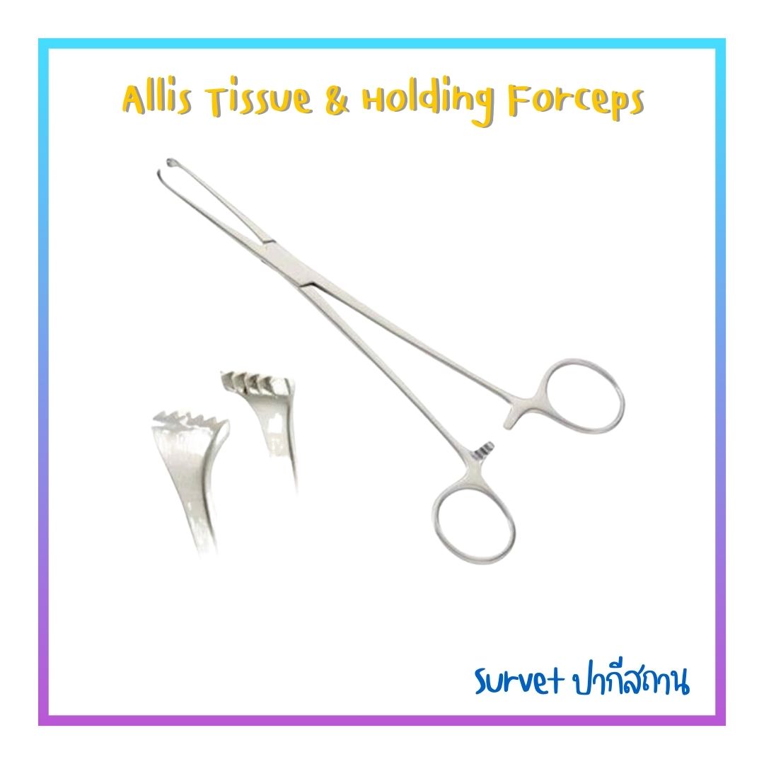 Allis Tissue & Holding Forceps (Survet) 5x6 T
