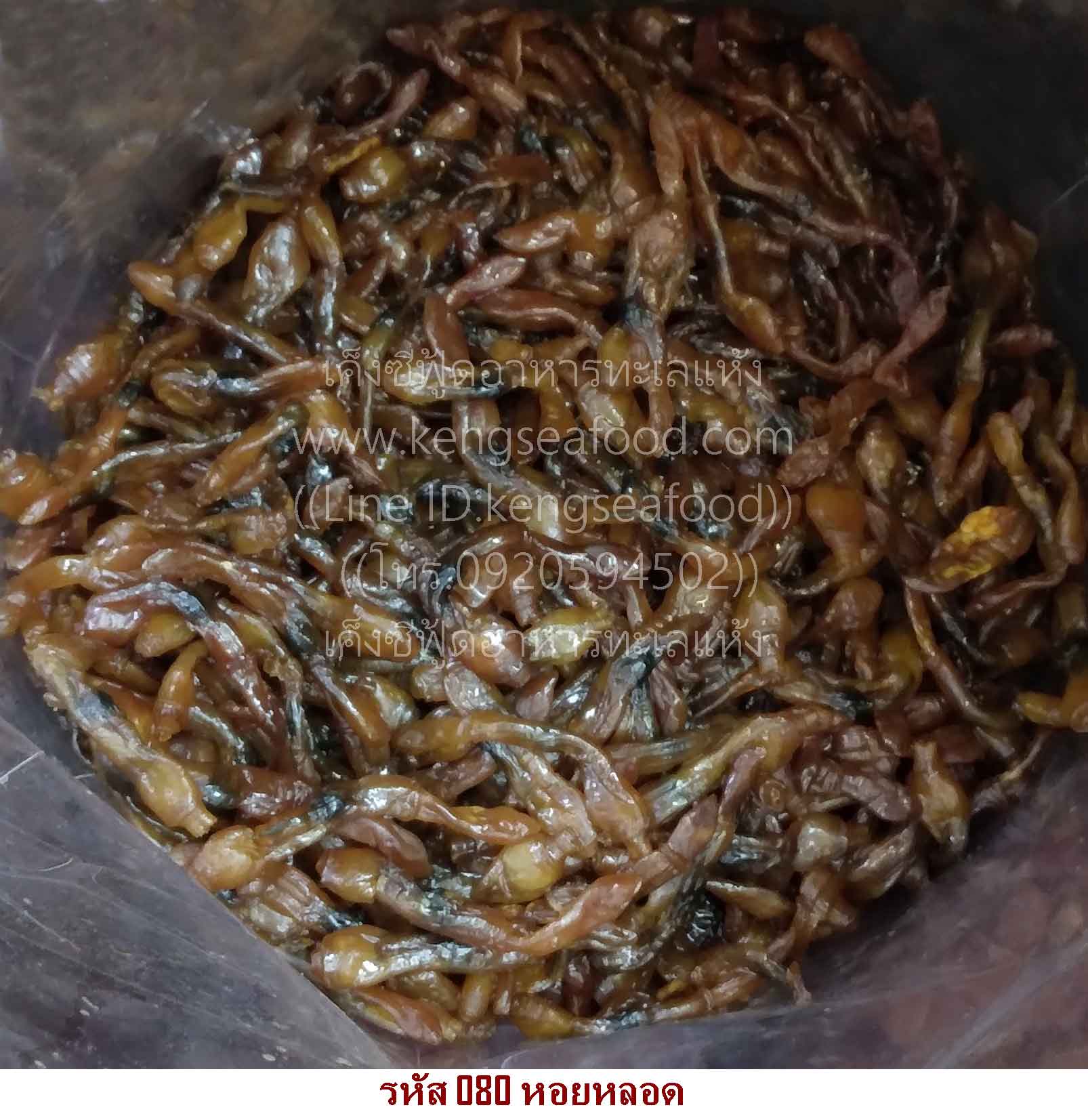 หอยหลอด