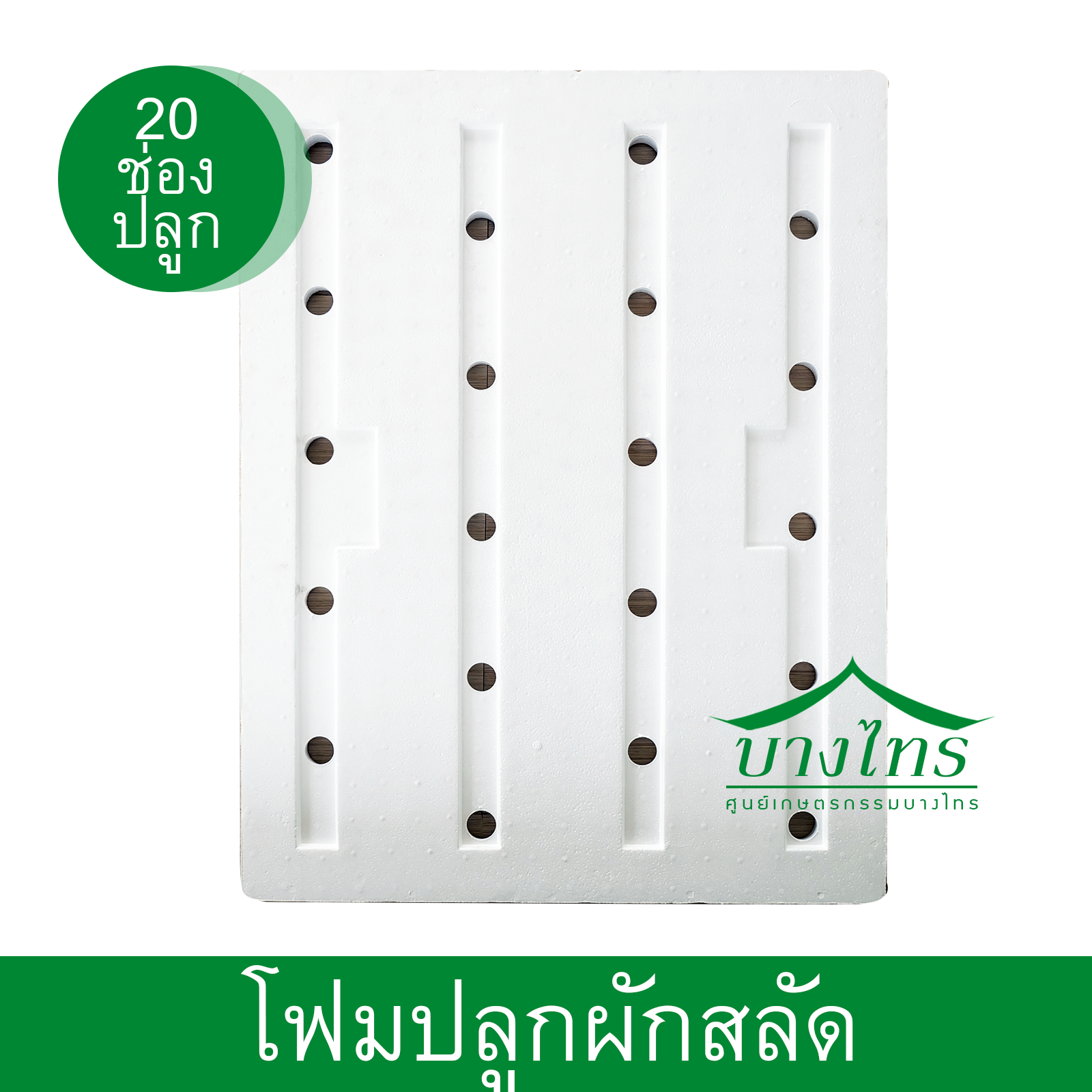 โฟมแผ่นปลูก (ผักสลัด) ขนาด 20 ช่องปลูก
