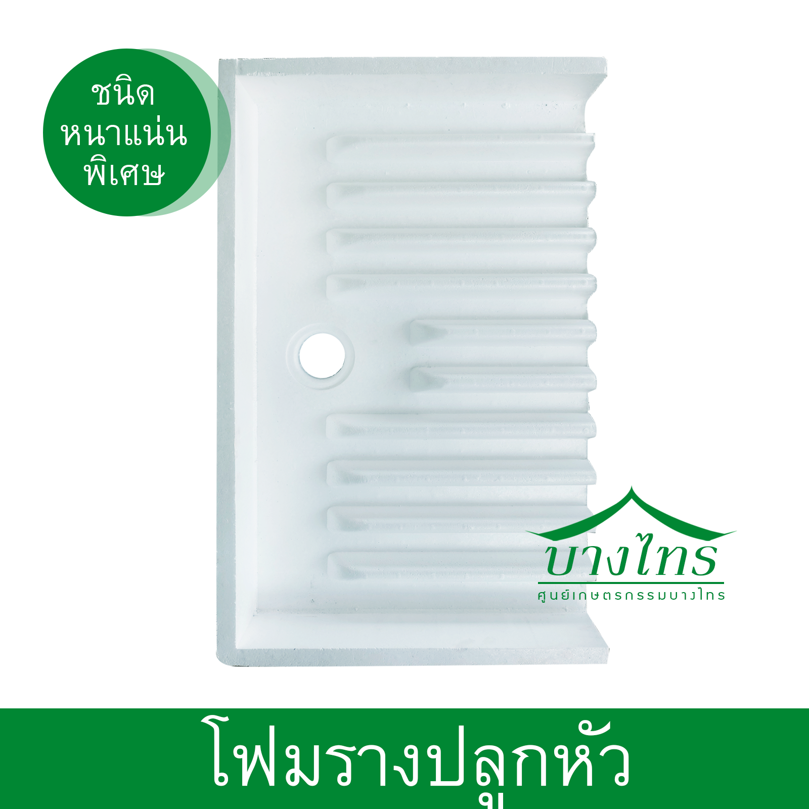 โฟมรางปลูกหัว EPS ( ขนาด 1 x 0.60 เมตร )