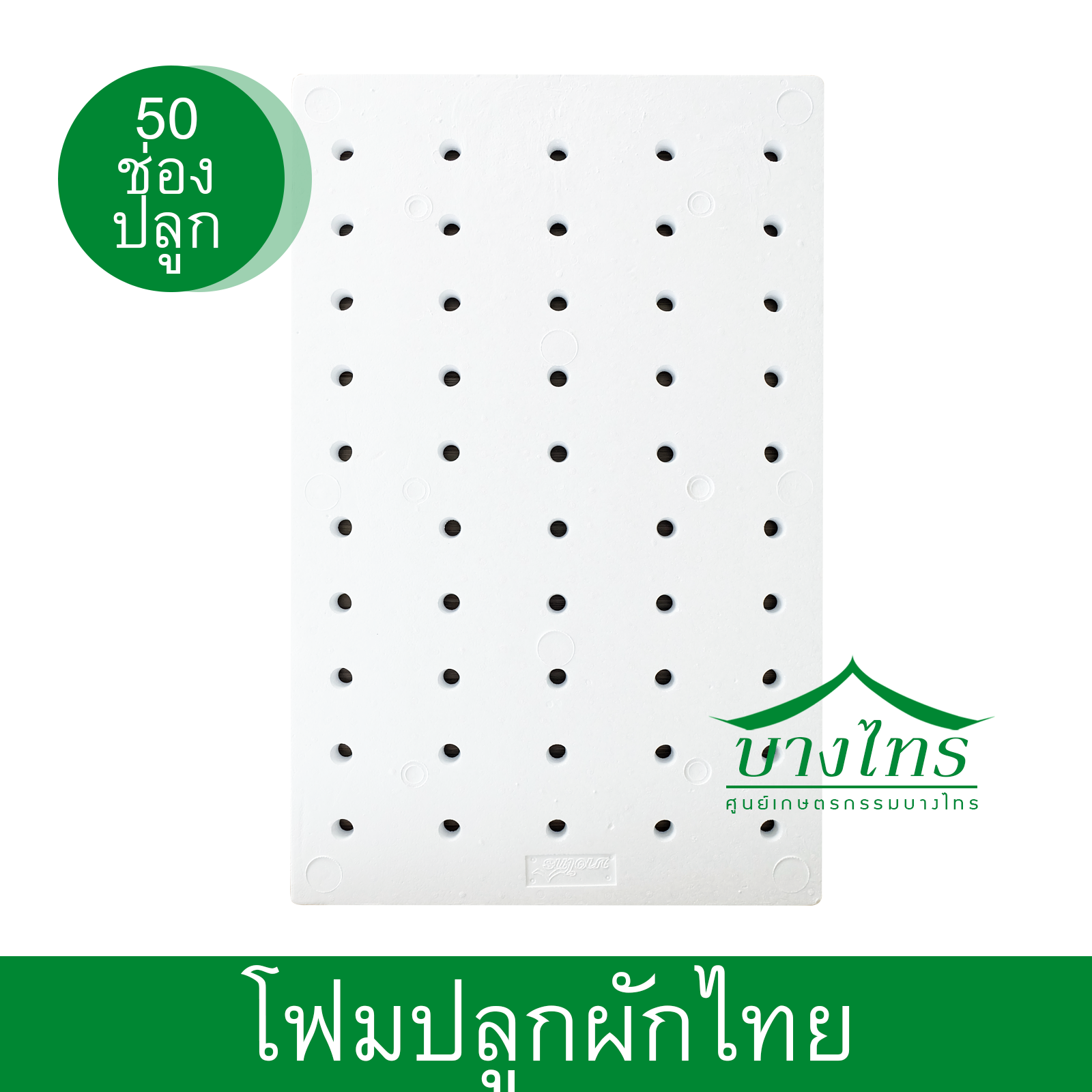 โฟมแผ่นปลูก (ผักไทย) ขนาด 50 ช่องปลูก