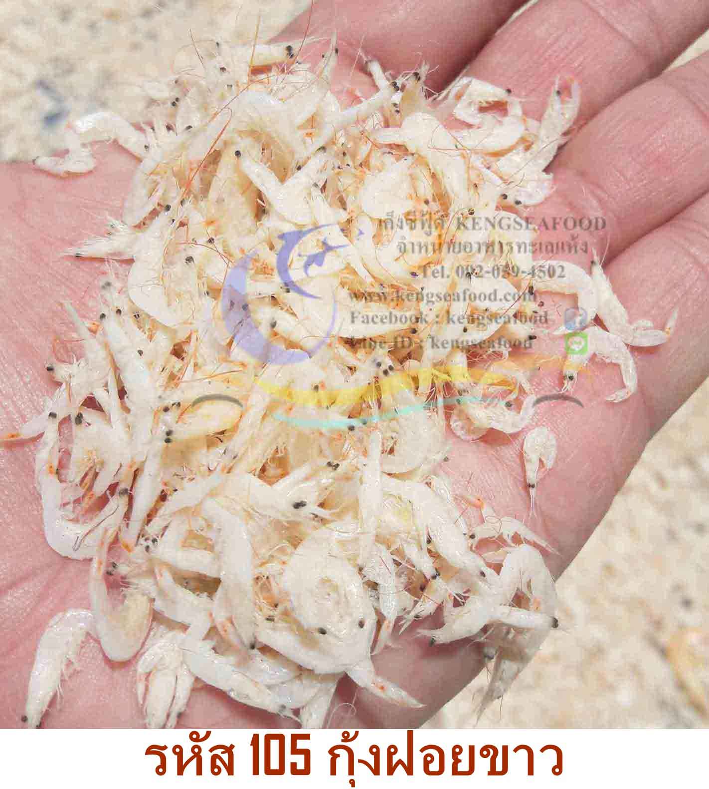 กุ้งแห้งฝอยขาว