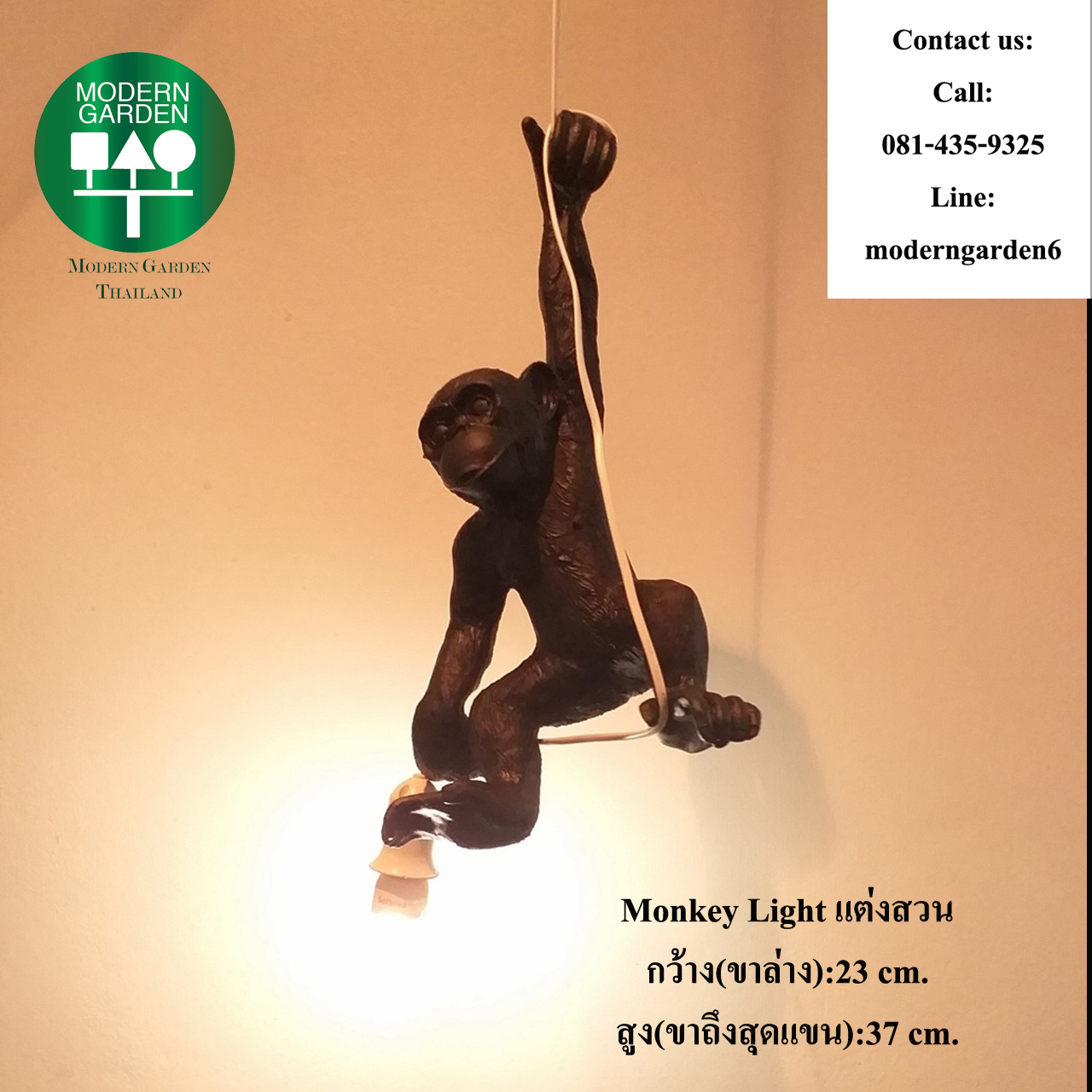 ชุด Black Monkey Light ห้อยโหน แต่งสวน แต่งบ้าน แต่งร้านอาหาร ร้านกาแฟ