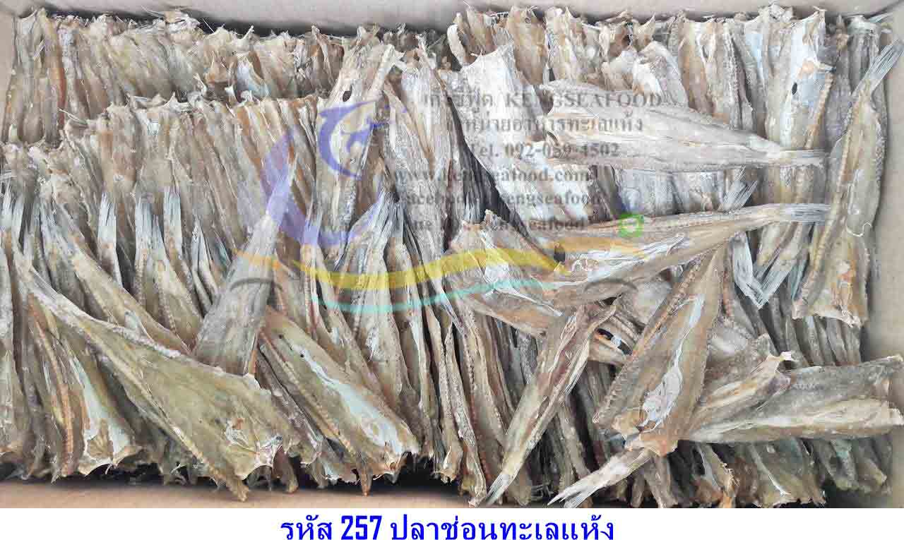 ปลาช่อนทะเลแห้ง ไซส์พิเศษ