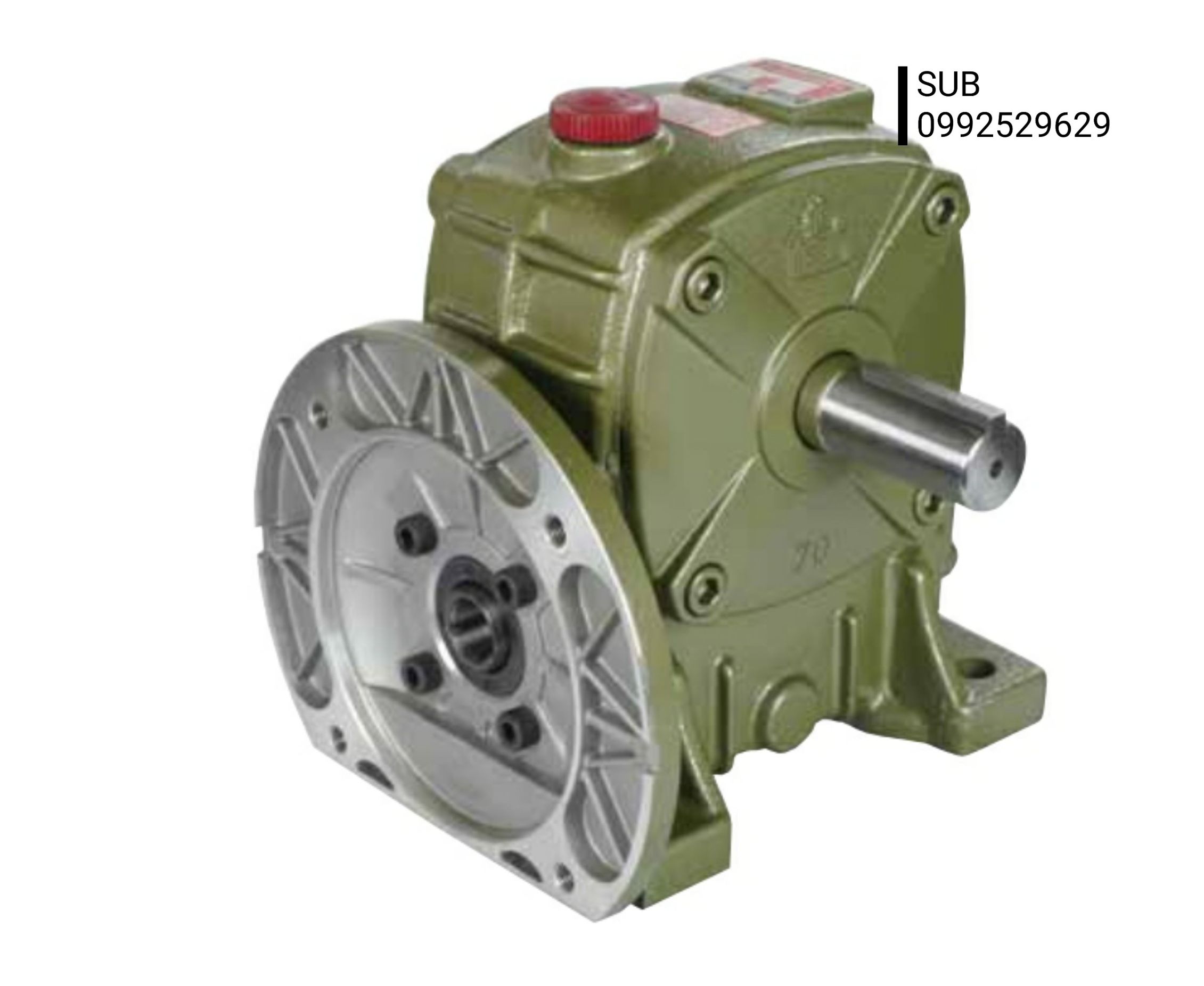 Worm Gear Motor | มอเตอร์เกียร์ทด 1:10 – 1:60, 1:100 - 1:900 Single & Double Reduction